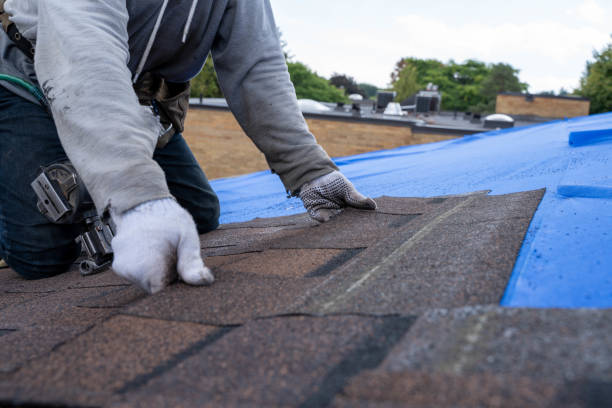 Gutter Installation and Roofing in Underwood Petersville, AL