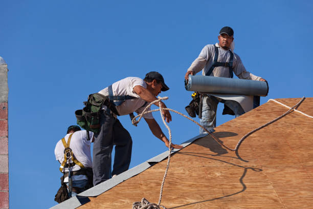 Best Storm Damage Roof Repair  in Underwood Petersville, AL