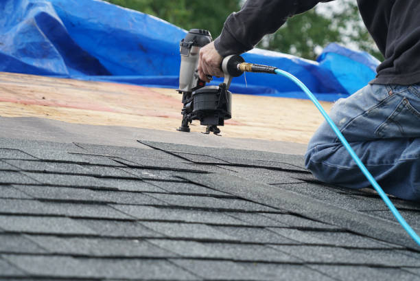 Professional Roofing Contractor in Underwood Petersville, AL